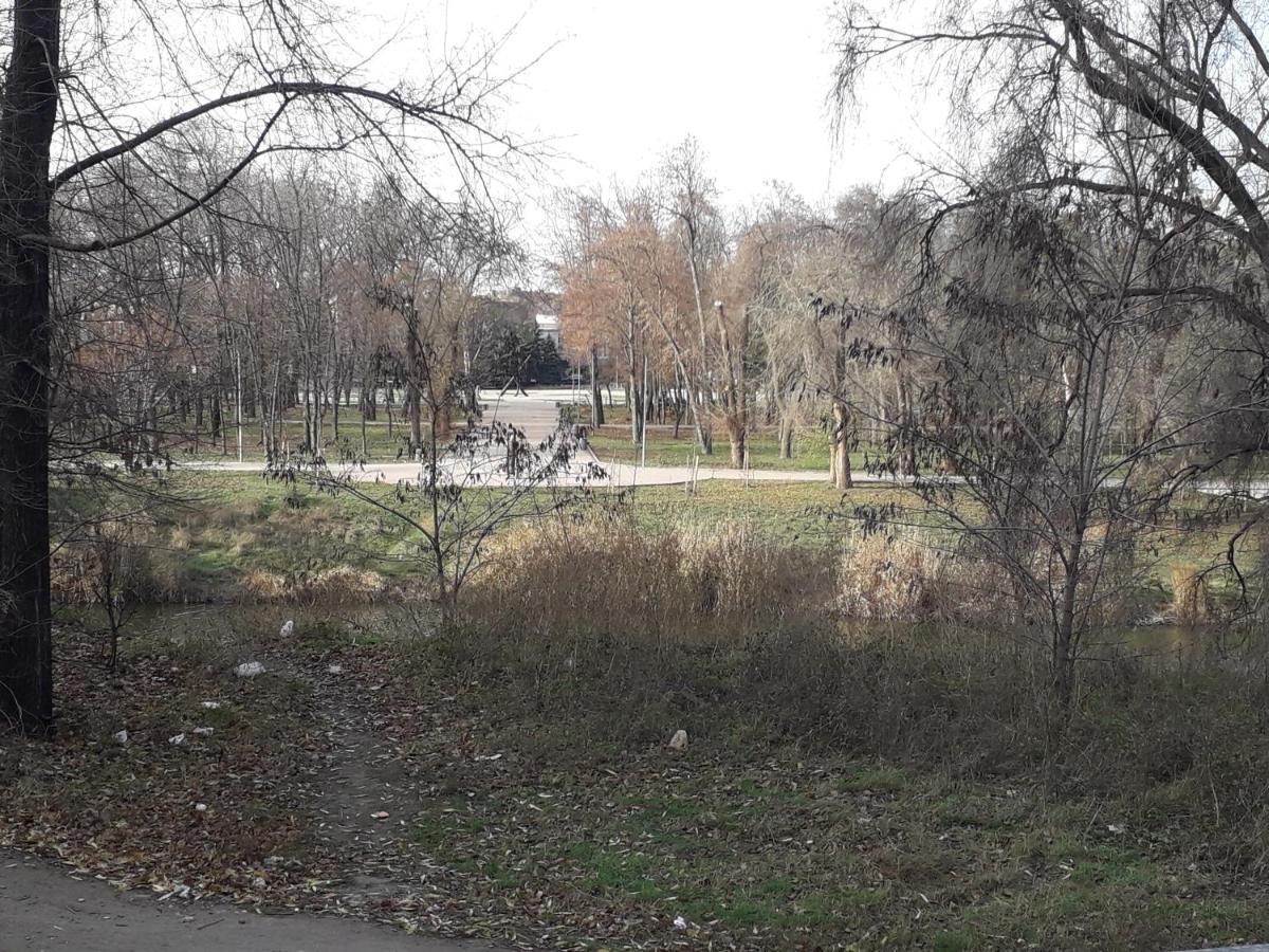 Апартаменты На Проспекте Почтовый Kryvy Rih Buitenkant foto